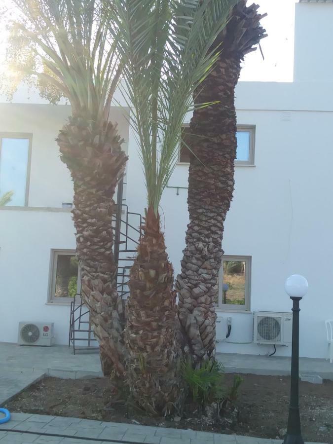 Argaka Palm Tree Apts Exterior foto